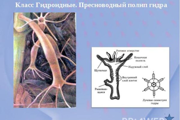 Ссылка на кракен 15ат